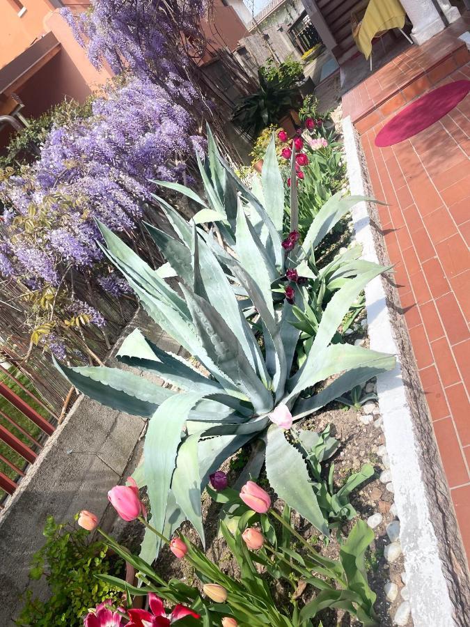 B&B Happy Days Breakfast Sirmione Exterior photo